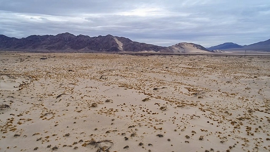 Great Basin Desert Dominates the American West (image credits: Gallery Image)