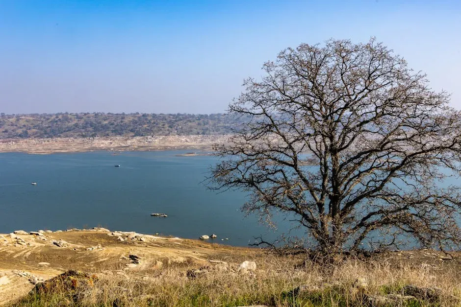 The California Central Valley Aquifer: The Food System's Most Precarious Underpinning (Image Credits: Pexels)