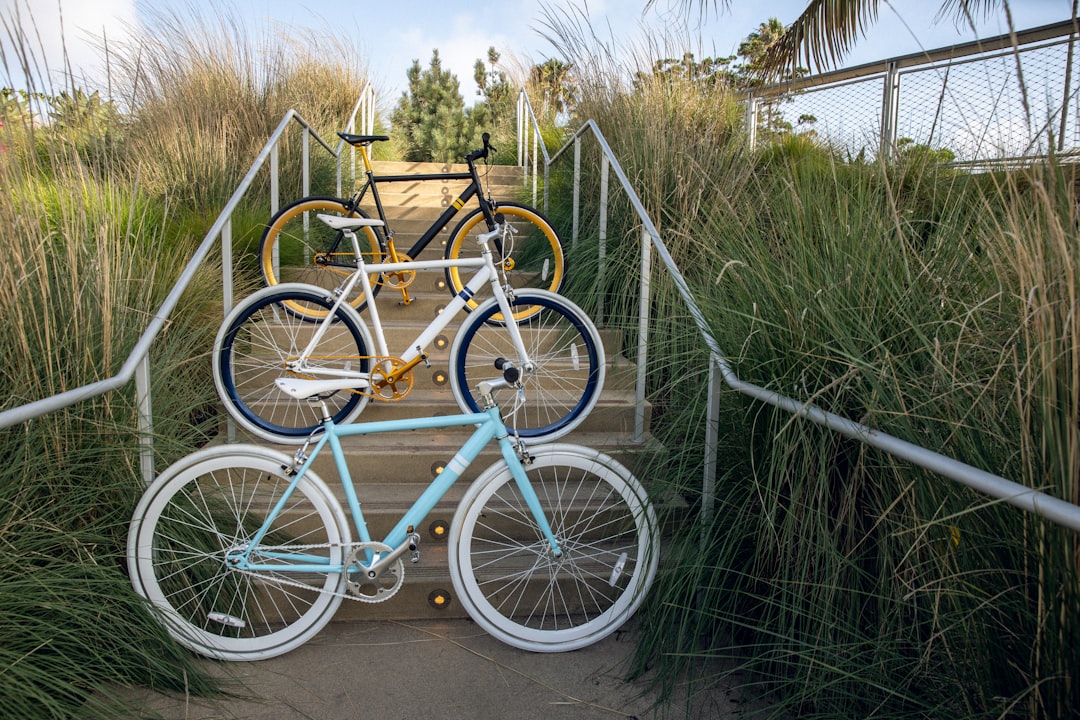 Long Beach, California: The Comprehensive Network Builder (image credits: unsplash)