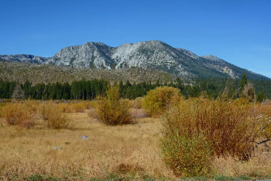 The Sierra Nevada Rain Shadow Explains the Dryness (Image Credits: Pexels)