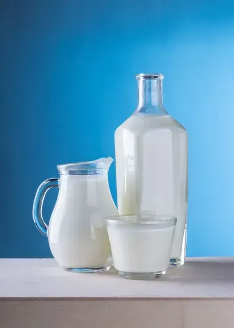 6. Fortified dairy and calcium-rich foods (Image Credits: Pexels)
