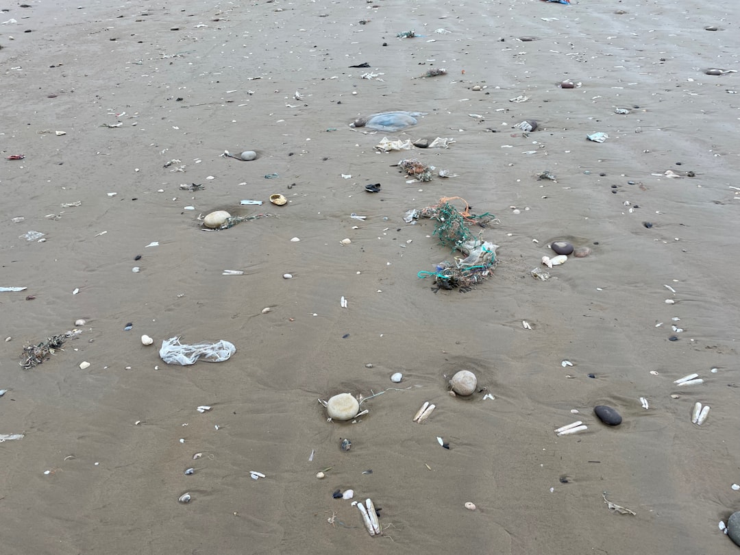 What Makes Microplastics So Dangerous (image credits: unsplash)