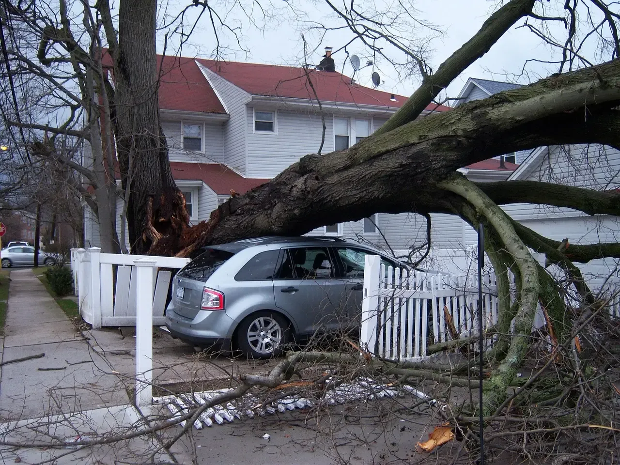 North and South Carolina: living with Hurricane Helene's aftermath (Image Credits: Pixabay)