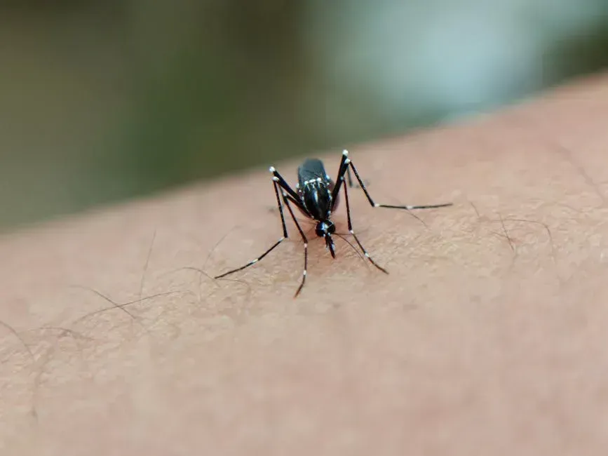 6. Tick and Mosquito Seasons Are Expanding Into New Areas (Image Credits: Pexels)
