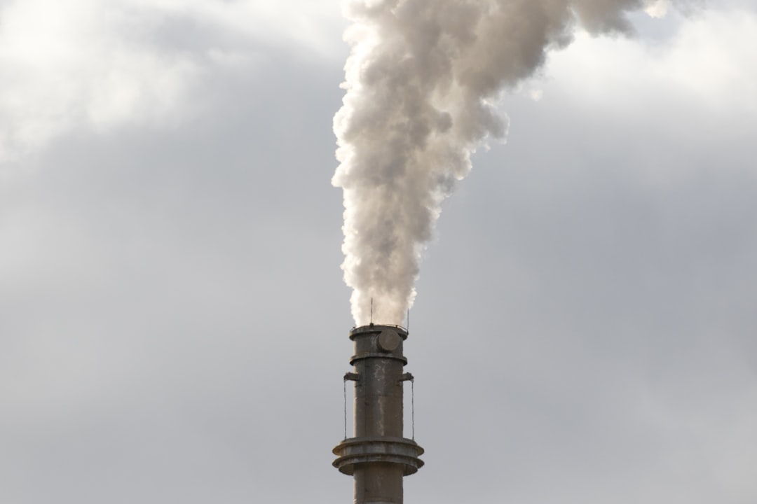 Carbon Offsets: Paying to Feel Better (image credits: unsplash)