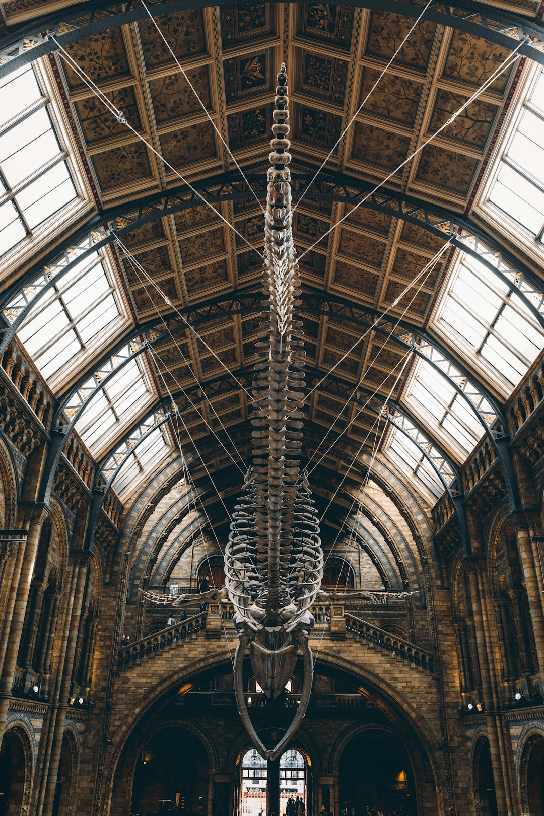 From Hunters to Filter Feeders (image credits: unsplash)