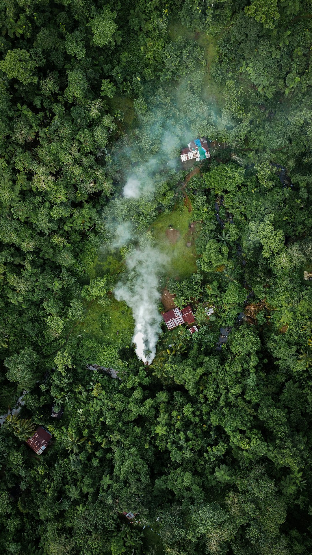 Deforestation Creates Dangerous Feedback Loops (image credits: unsplash)