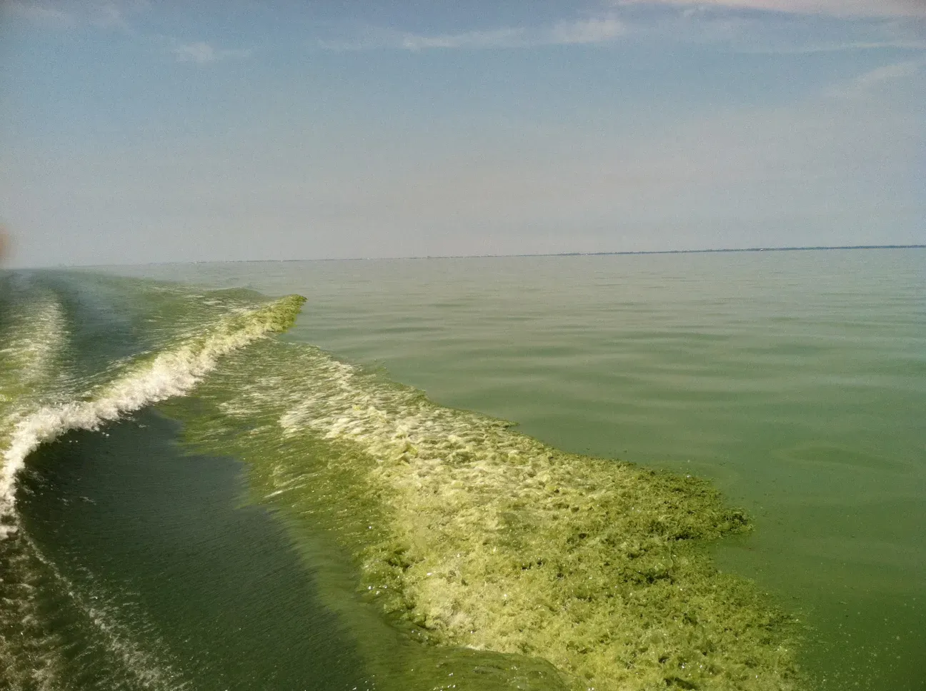 23 percent versus 40 percent: the phosphorus cleanup that fell short (3134, CC BY-SA 2.0)