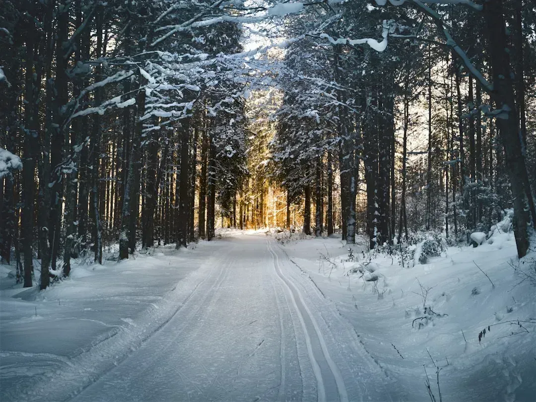 5. Minnesota (Image Credits: Unsplash)