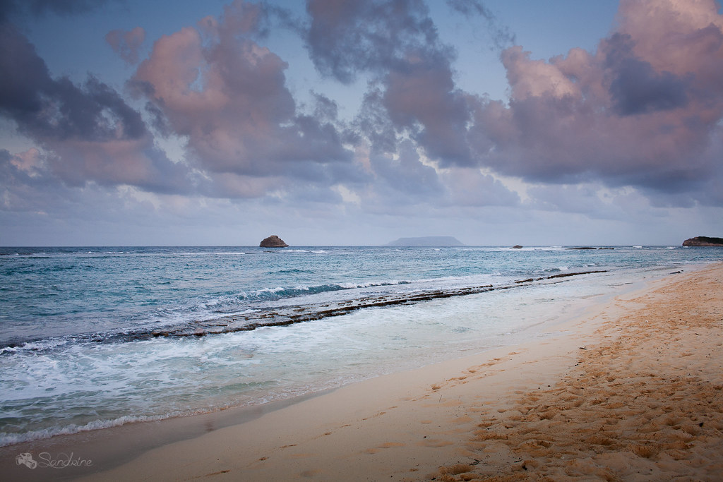 Signs Of A Waking Atlantic (image credits: flickr)