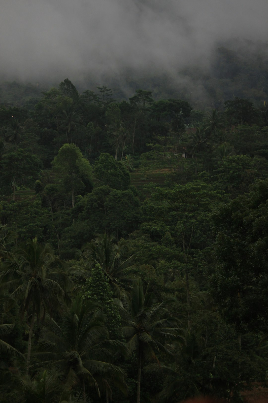 A Make-or-Break Moment for Global Climate Action (image credits: unsplash)
