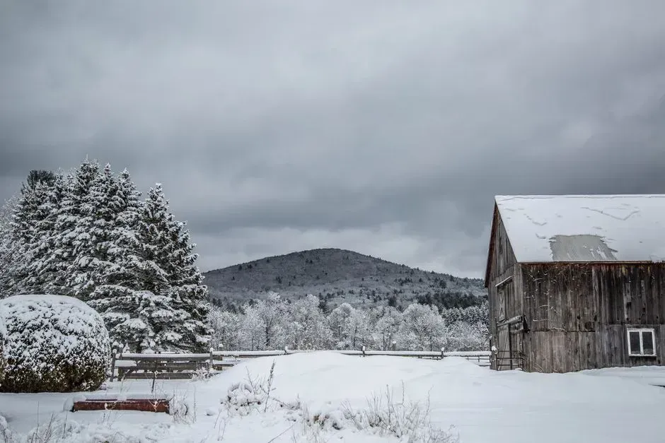 5. Northeast and New England (Image Credits: Pexels)