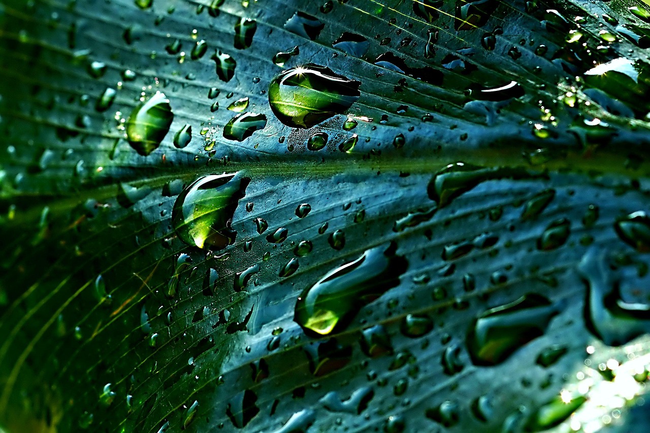 The Market Momentum Behind Water Collection Technologies (image credits: pixabay)