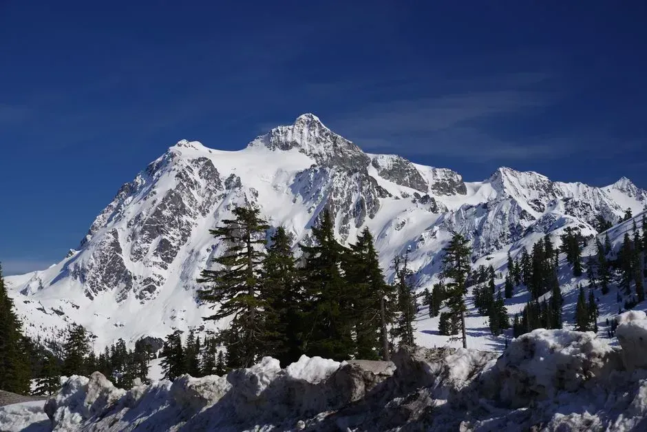 Washington (Image Credits: Pexels)