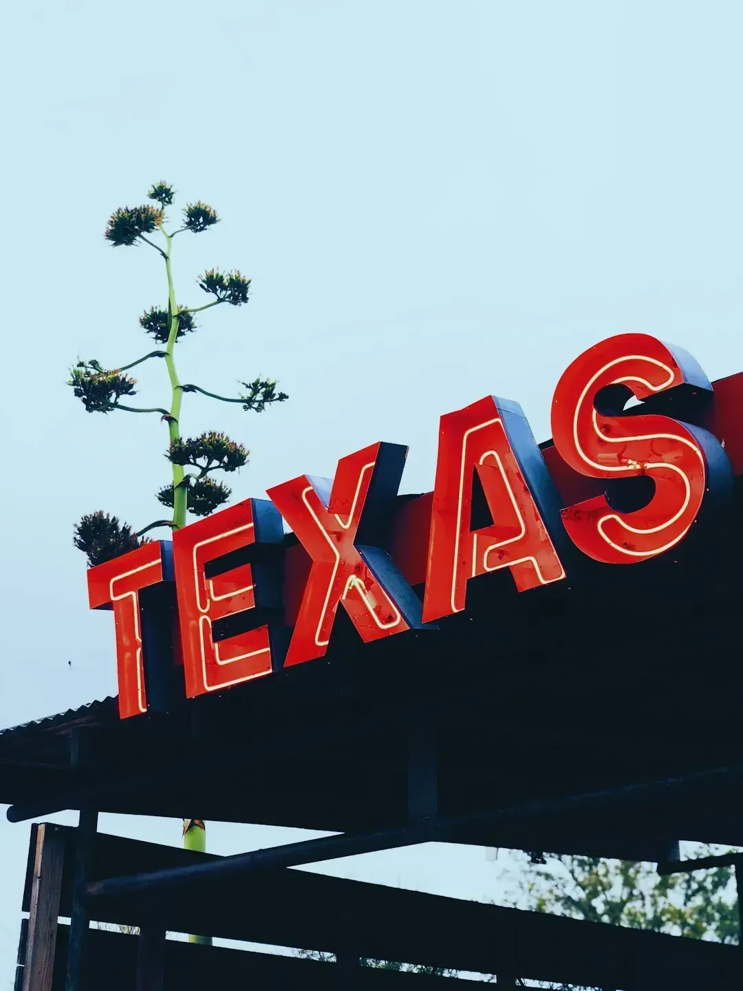 Texas: A State Facing Nearly Every Kind of Risk at Once (Image Credits: Unsplash)