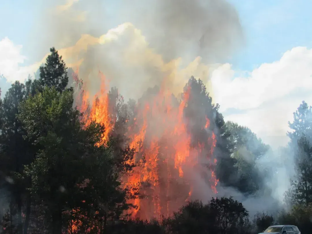 Rising Risks Beyond the Heat (Image Credits: Unsplash)