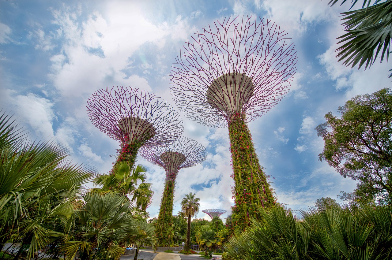 Engineering Marvel Disguised as Giant Trees (image credits: pixabay)
