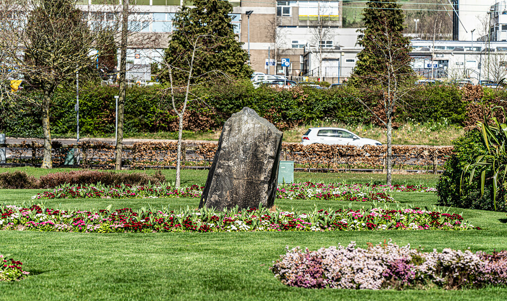 Community Gardens Becoming Wildlife Hotspots (image credits: flickr)