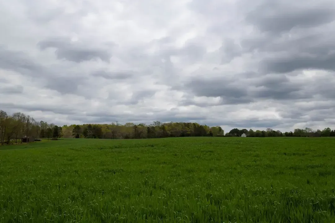 Real Opportunities, Real Constraints (Image Credits: Unsplash)