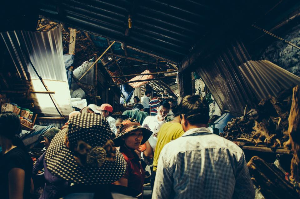 Developing Nations Are the Main Problem (image credits: stocksnap)