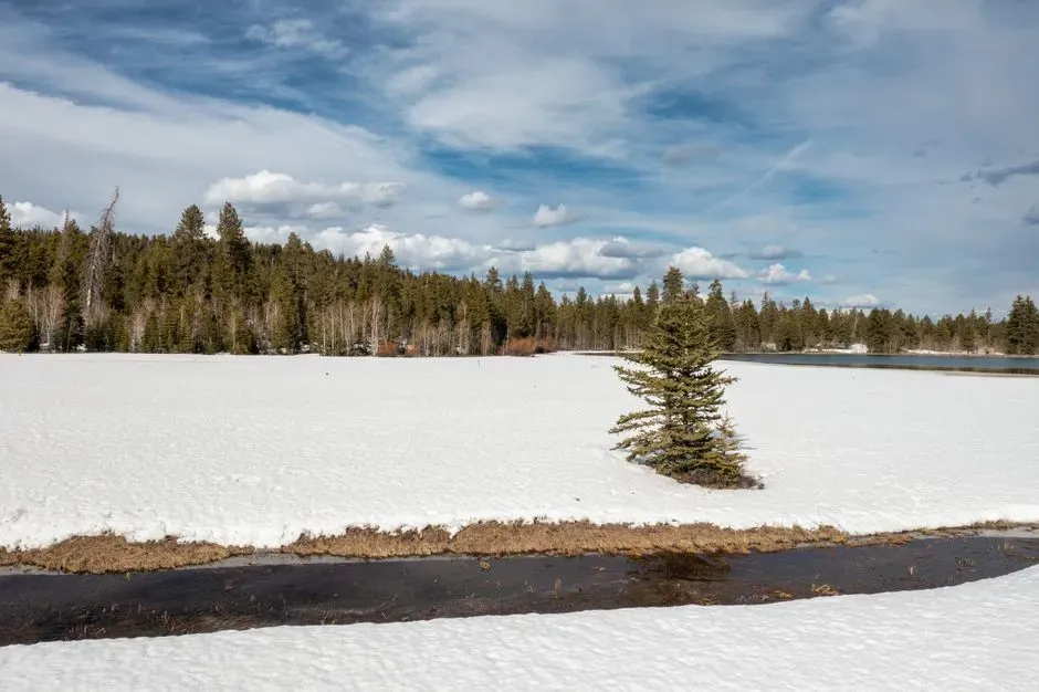 Vanishing snowpack is rewriting the water calendar (Image Credits: Pexels)