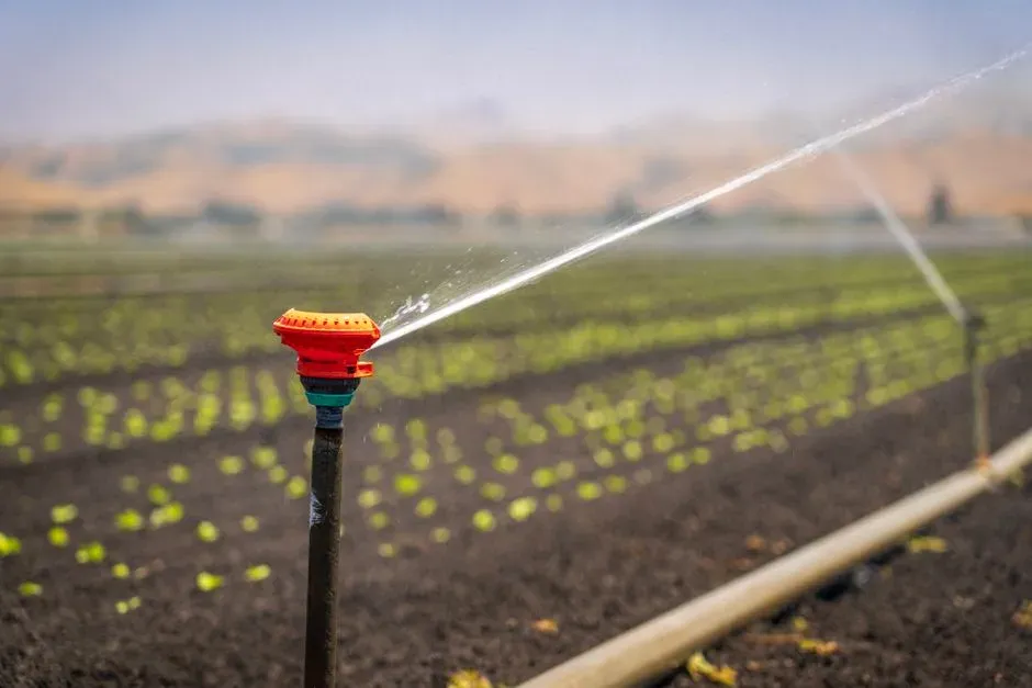 The takeaway for a thirstier future (Image Credits: Pexels)