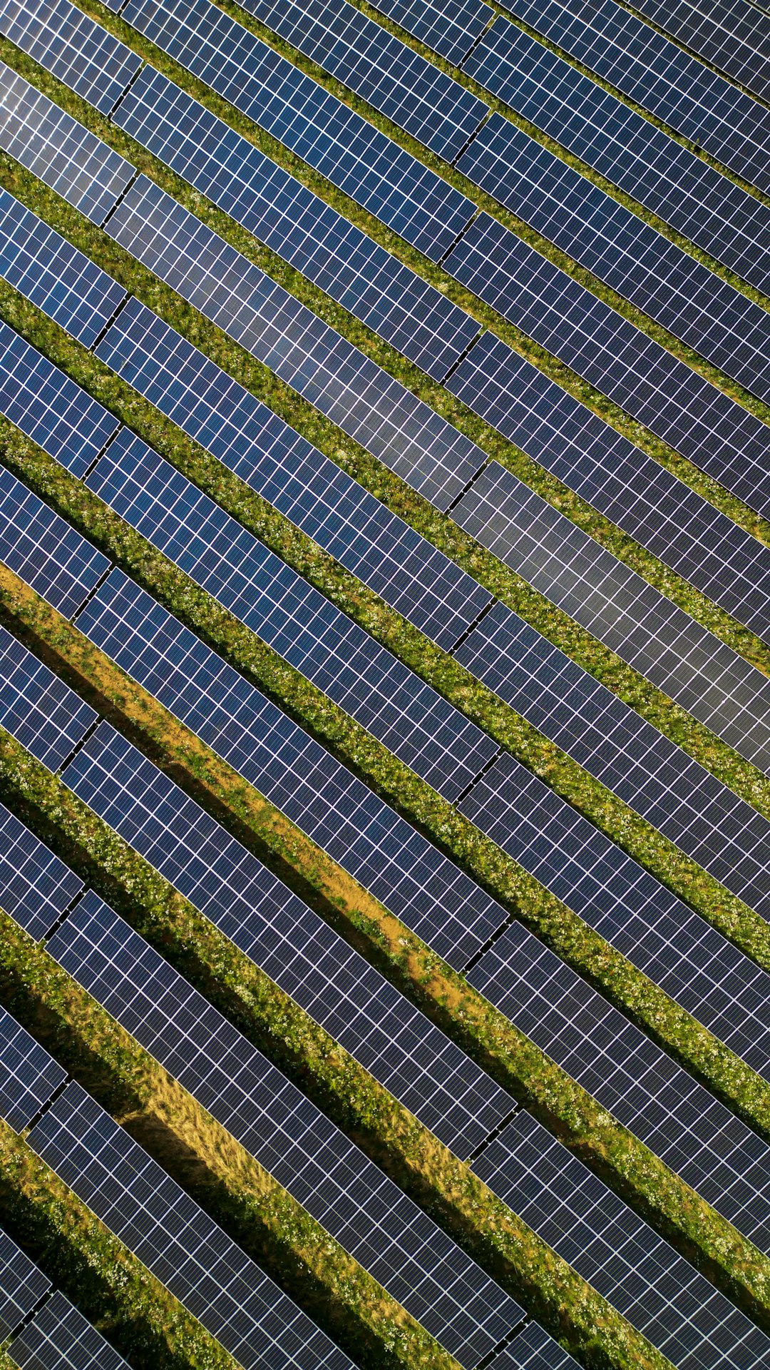Farmland Is Being Converted for Solar Development (image credits: unsplash)