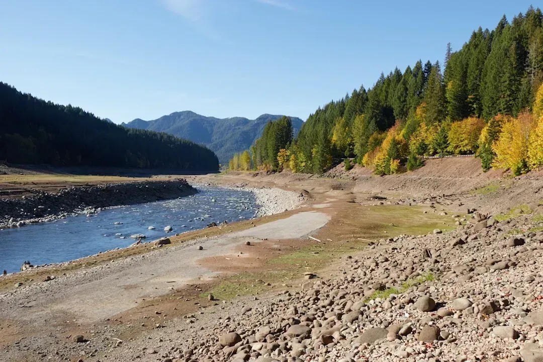 The Pacific Northwest and western US: from drought grip to a wetter turn (Image Credits: Unsplash)