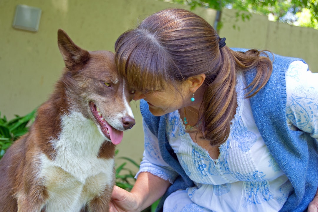 The Economics of Furbaby Love (image credits: unsplash)