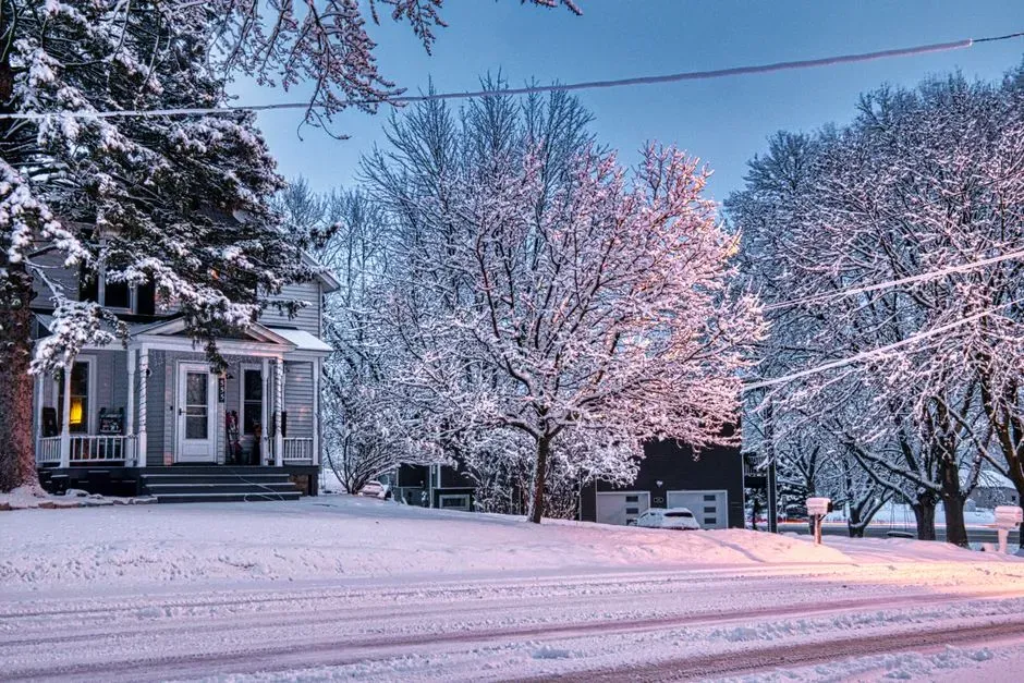 International Falls, Minnesota (Image Credits: Pexels)