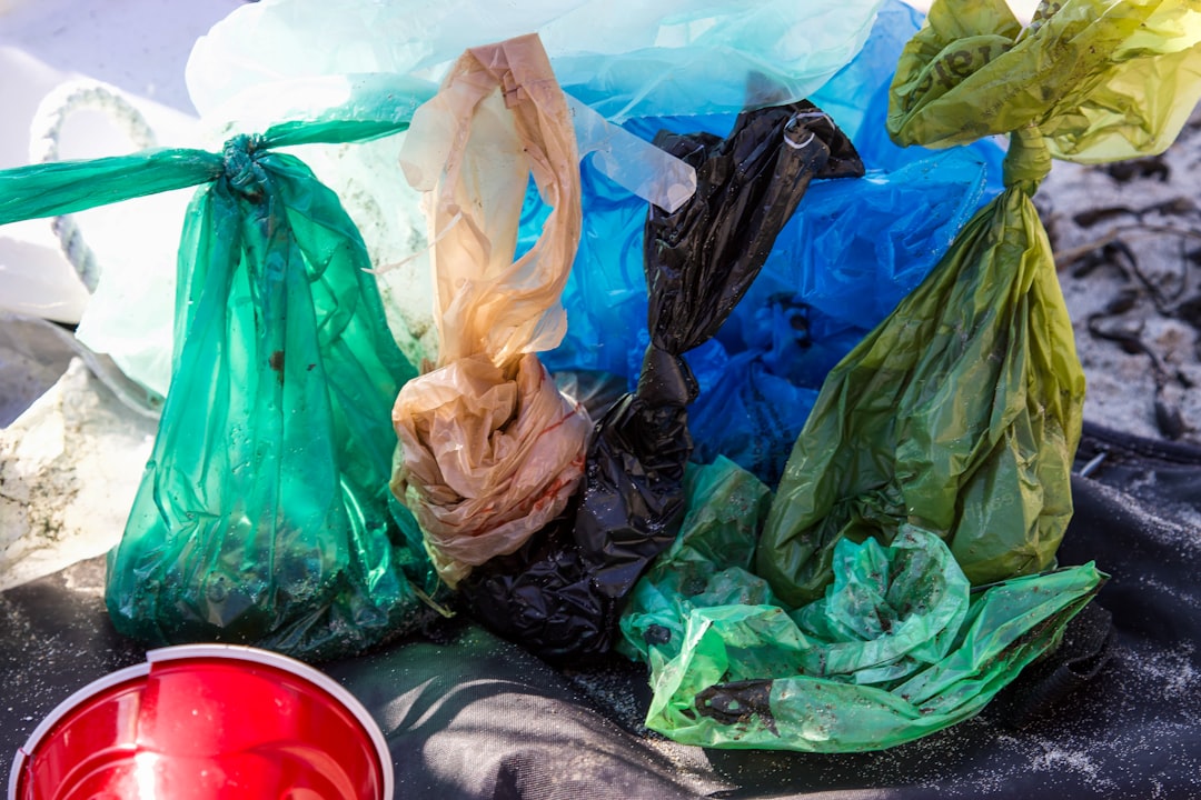 Plastic Bag Bans and Their Surprising Backlash (image credits: unsplash)