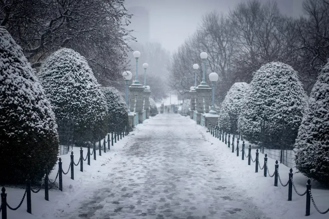 Massachusetts (Image Credits: Unsplash)
