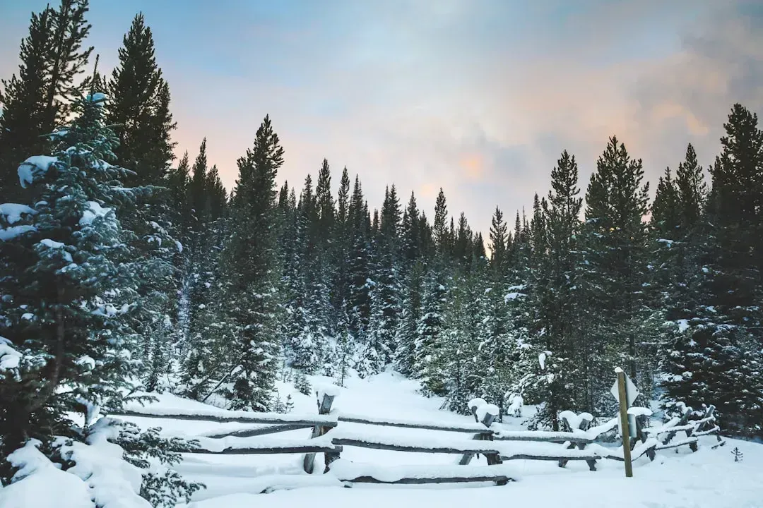 Montana (Image Credits: Unsplash)