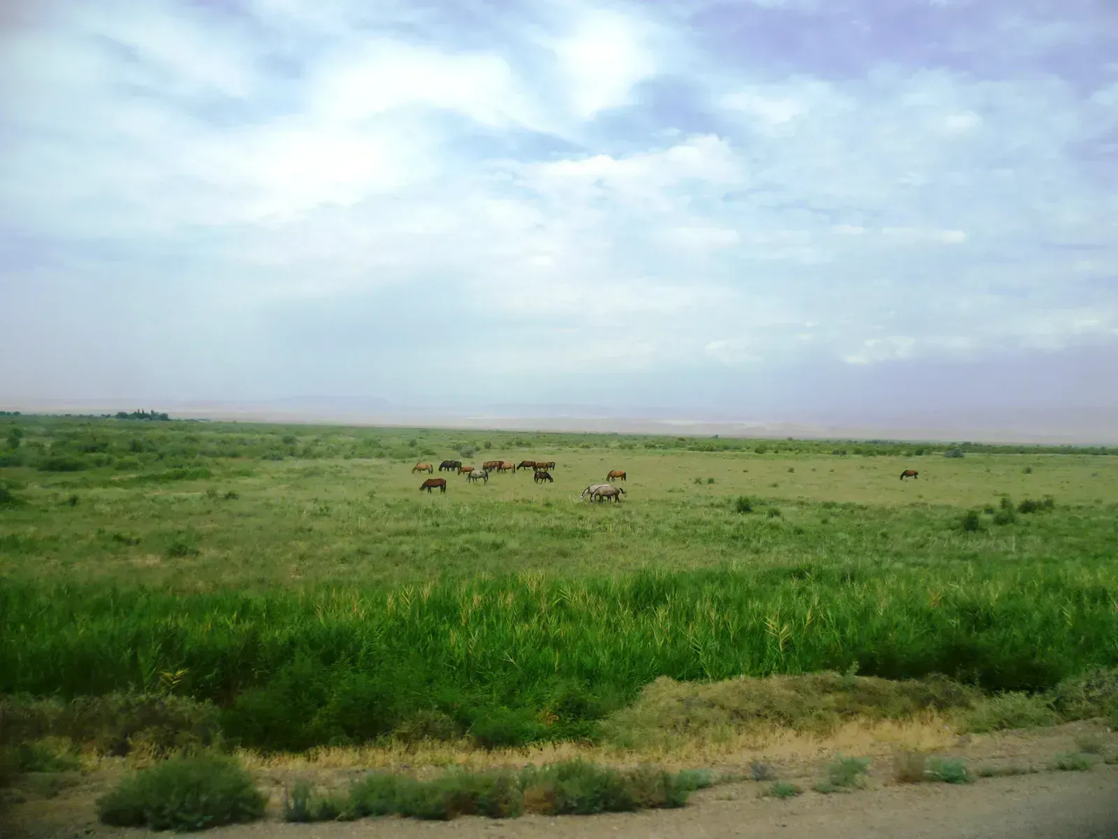 3. Kazakhstan (own archive, CC BY 3.0 pl)