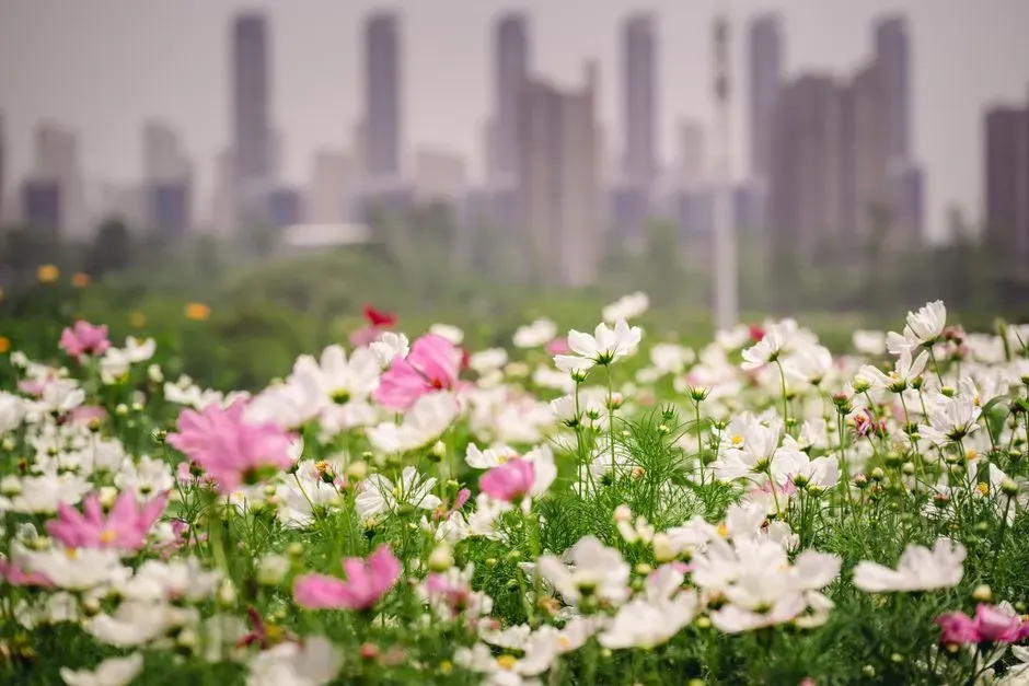 Climate change is reshuffling which cities face the worst exposure (Image Credits: Pexels)