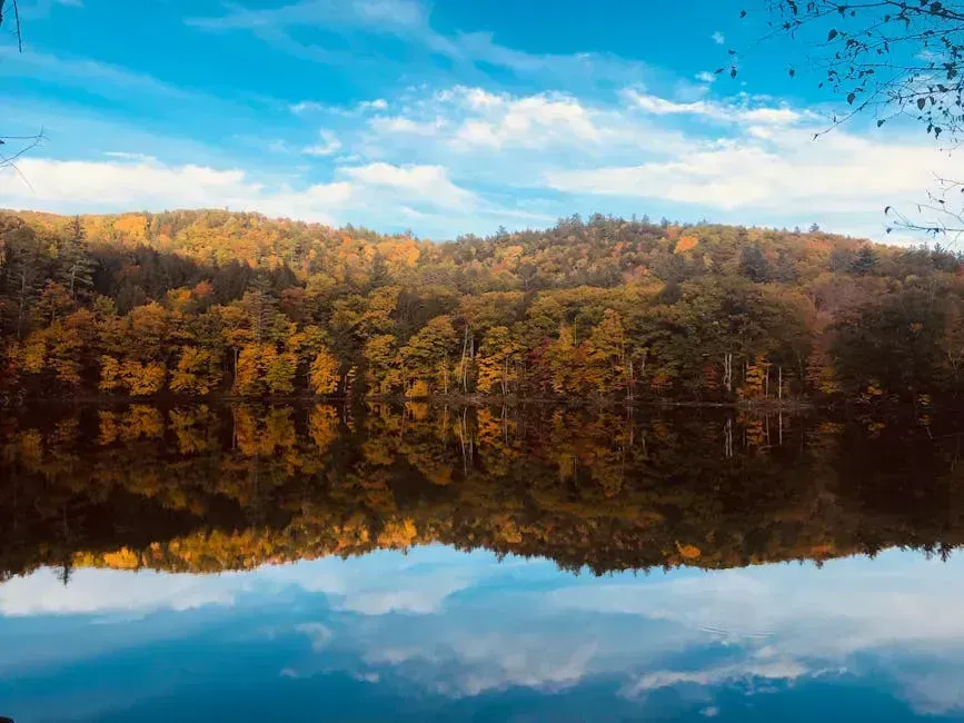 Vermont and New England: The Northeast's Quiet Case (Image Credits: Pexels)