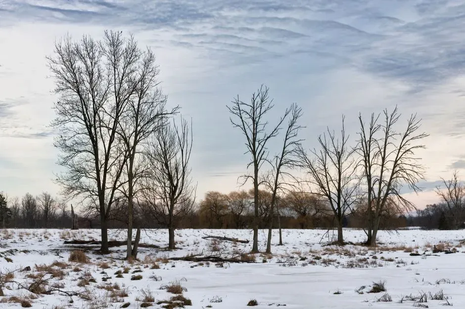 5. Waterloo, Iowa (Image Credits: Pexels)
