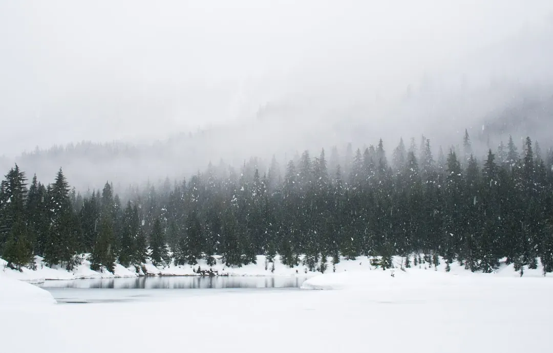 Buffalo, New York: Lake-Effect Snow That Defies Belief (Image Credits: Unsplash)