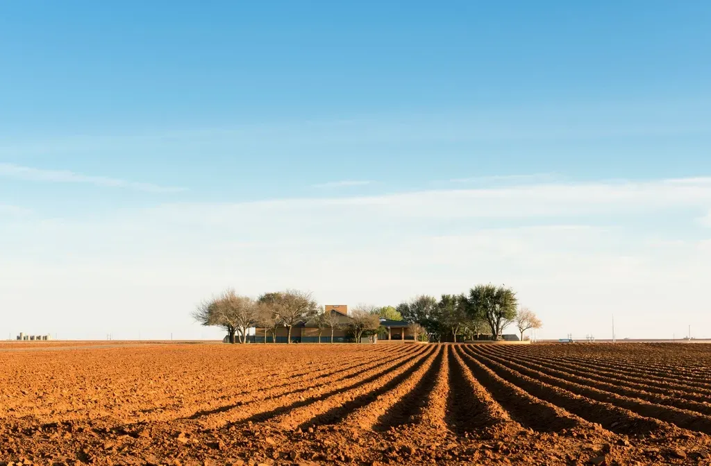4. Farmland is being retired because there isn't enough water to irrigate it (Image Credits: Rawpixel)