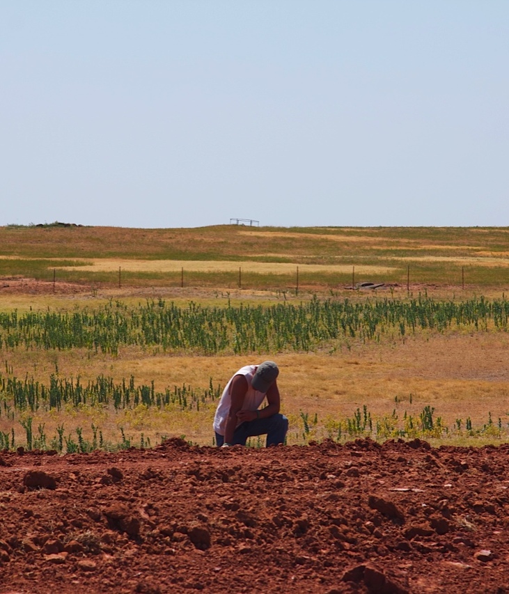 Oklahoma’s Unbearable Heat and Drought (image credits: wikimedia)