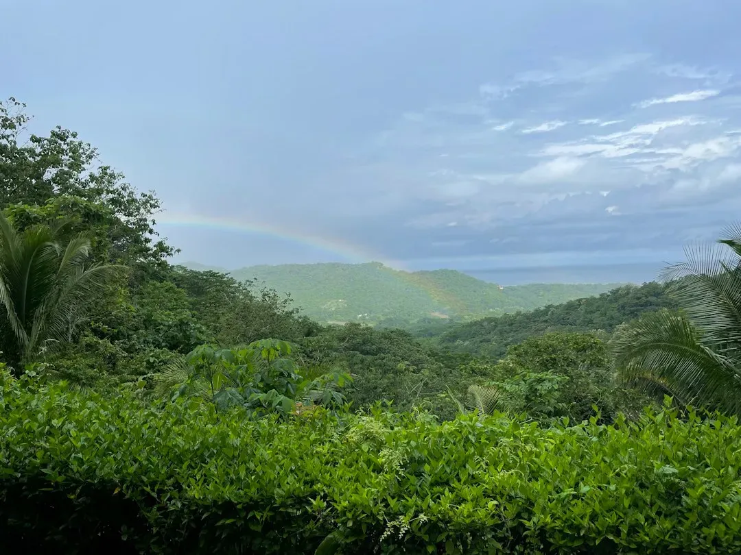 Central America's biological bridge (Image Credits: Unsplash)