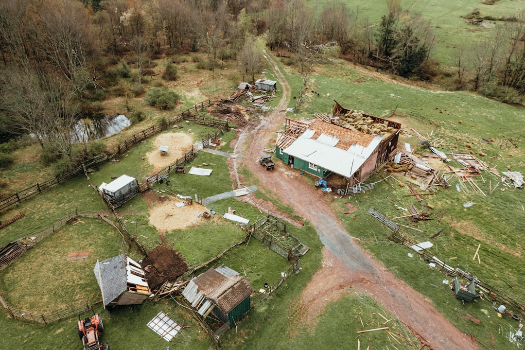 Tragically Familiar Pattern for Plainfield (image credits: unsplash)