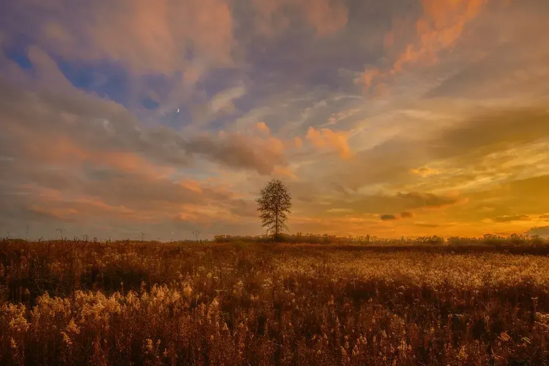 8. Ohio (Image Credits: Unsplash)