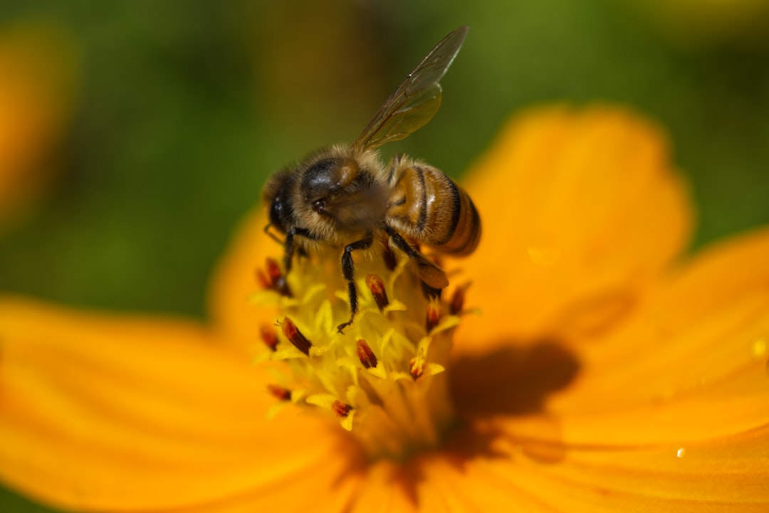 The Invisible Workforce Behind Our Food Supply (image credits: unsplash)