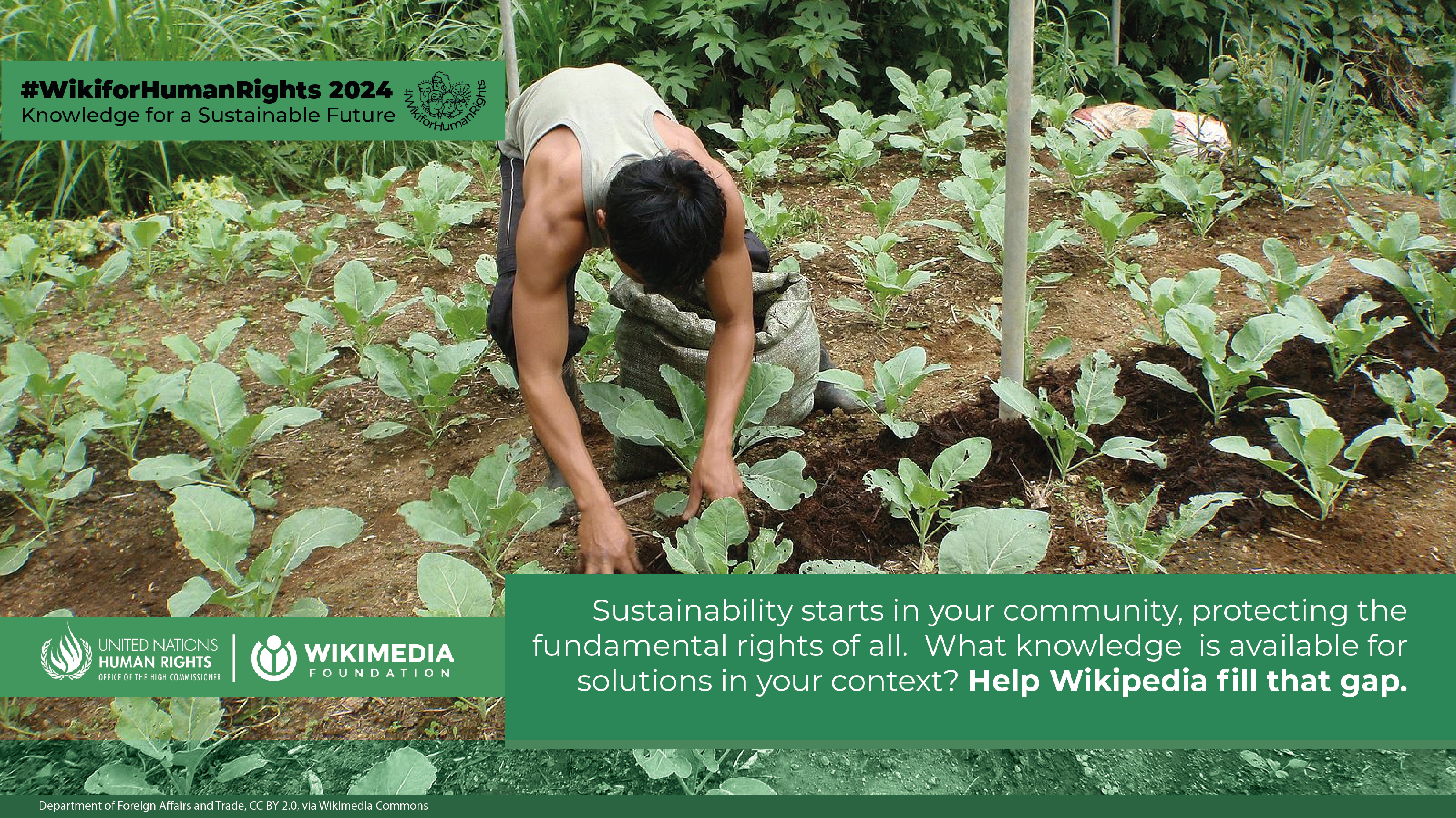 Community Initiatives and Grassroots Movements (image credits: wikimedia)