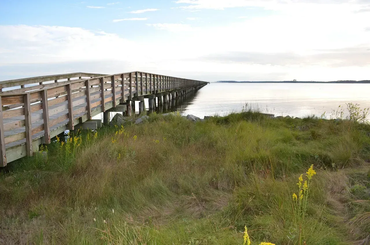 6. Woodfin, North Carolina: Riverfront Park and Stormwater Wetlands (Image Credits: Pixabay)