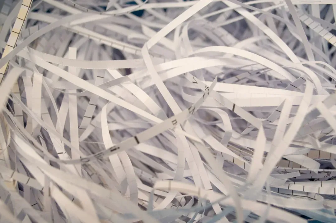 6. Shredded Paper (Image Credits: Unsplash)