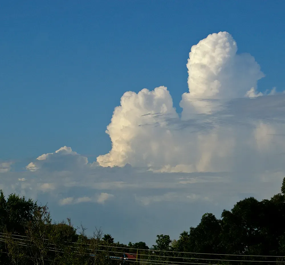 1. Towering cumulus clouds that keep building upward (By Bidgee, CC BY-SA 3.0)