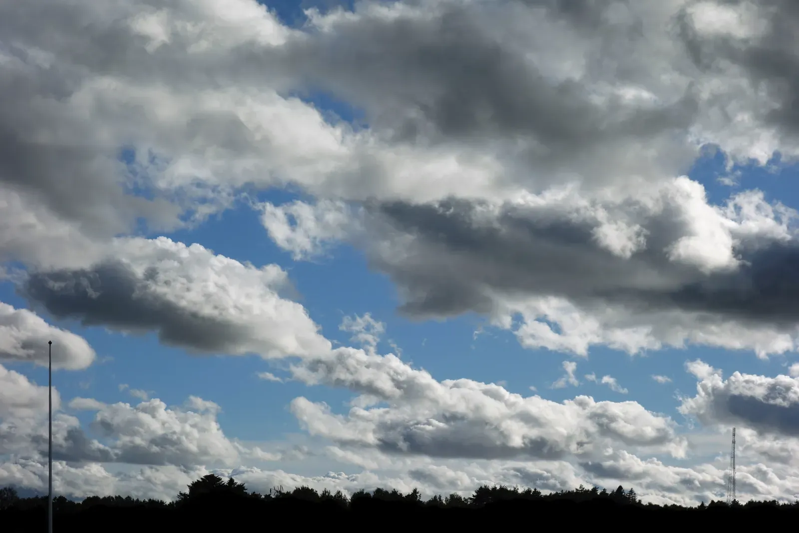 Cumulus clouds (By W.carter, CC BY-SA 4.0)