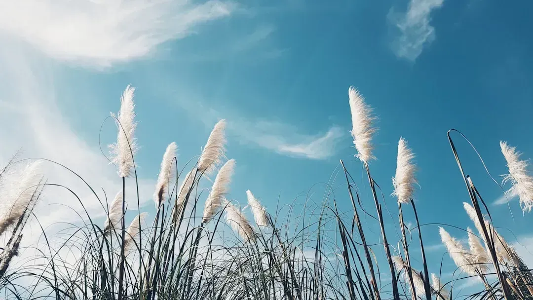 7. The Air Smells Unusually Strong or Earthy (Image Credits: Unsplash)